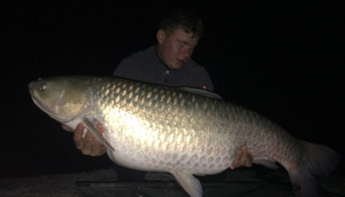 A carp from Jonchery, Jun 2014