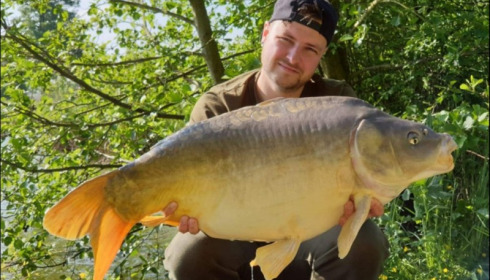 A carp from Jonchery, May 2019