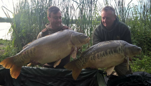 A carp from Jonchery, Jul 2017