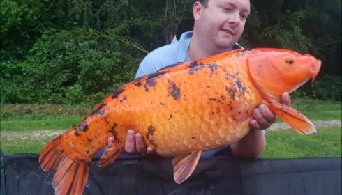 A carp from Jonchery, Jun 2018