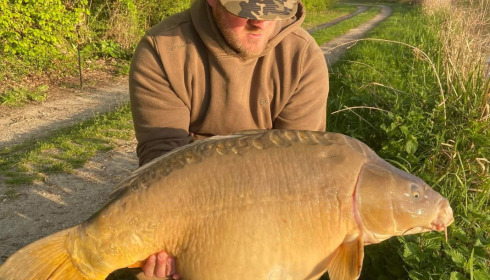 A carp from Jonchery, Apr 2022