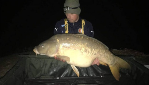 A carp from Jonchery, Apr 2019