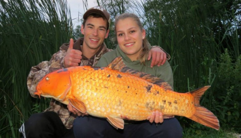 A carp from Jonchery, Jun 2013
