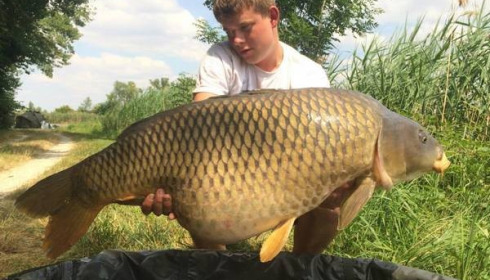 A carp from Jonchery, Jun 2014