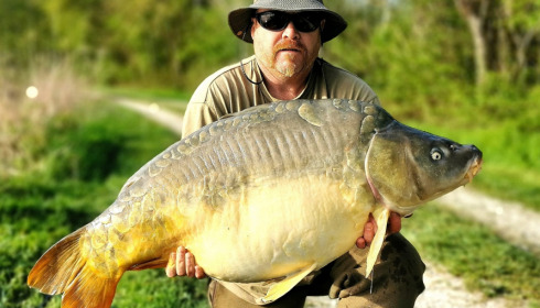 A carp from Jonchery, Apr 2022