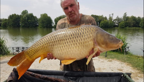 A carp from Jonchery, Jul 2019