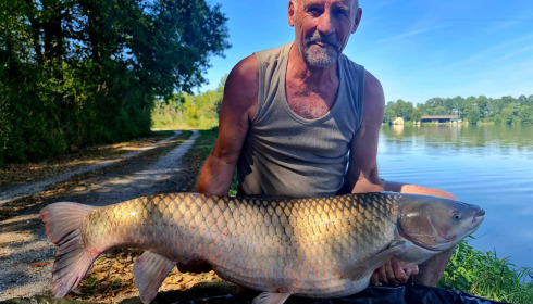 A fish from Jonchery, Aug 2022