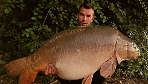 A carp from Jonchery, Jul 2017