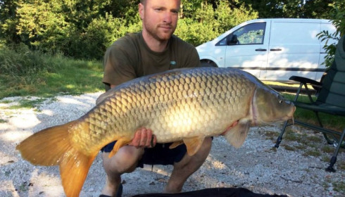 A carp from Jonchery, Jun 2014