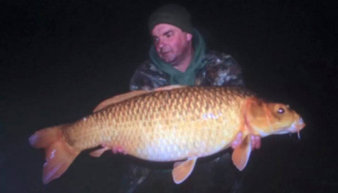 A carp from Jonchery, Mar 2015