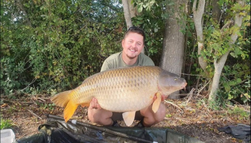 A carp from Jonchery, Oct 2019