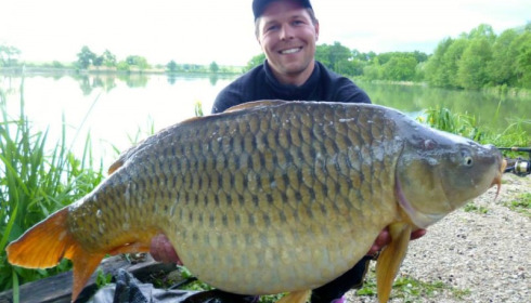 A carp from Jonchery, May 2014