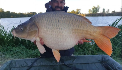 A 44 lb 6 oz carp from Jonchery, Sep 2019