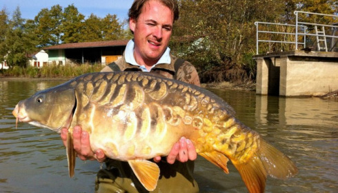 A carp from Jonchery, Nov 2012