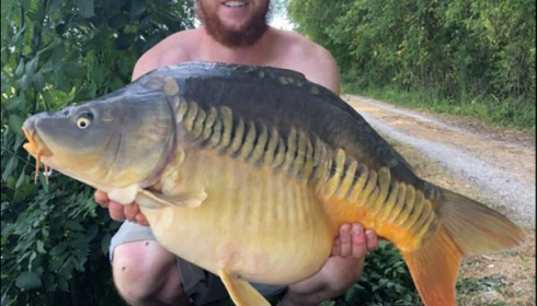 A carp from Jonchery, Jul 2019