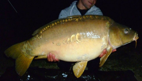 A carp from Jonchery, May 2014