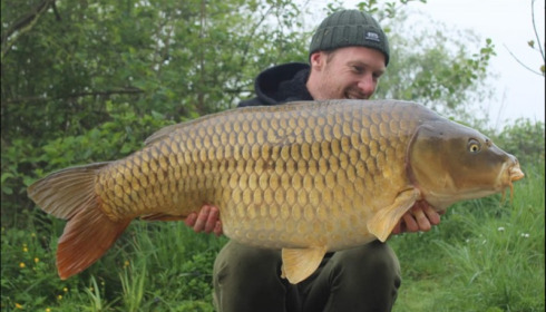 A carp from Jonchery, May 2019
