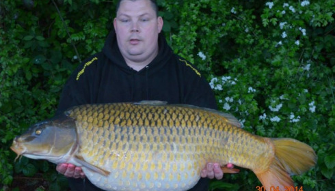 A carp from Jonchery, Swim 6, May 2014