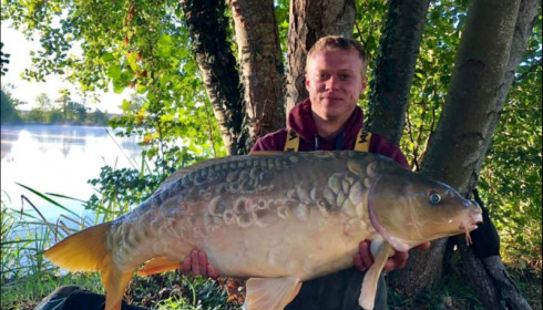 A carp from Jonchery, Sep 2018