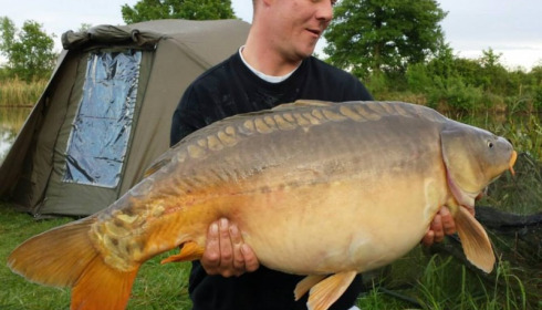 A carp from Jonchery, May 2014