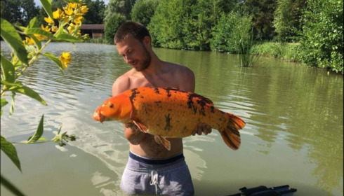 A carp from Jonchery, Jul 2018