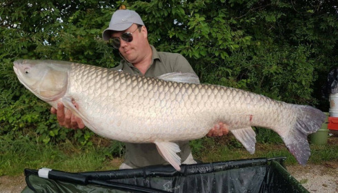 A carp from Jonchery, Jul 2017