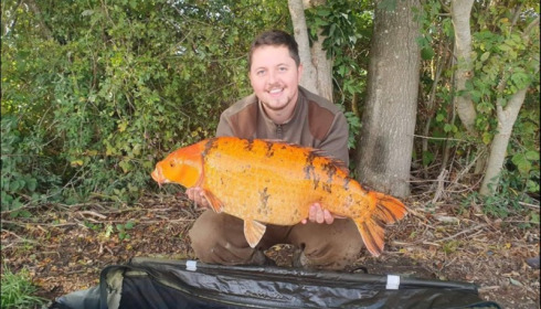 A carp from Jonchery, Oct 2019
