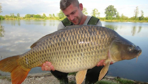 A carp from Jonchery, Jul 2014