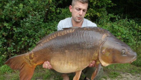 A carp from Jonchery, Jul 2014