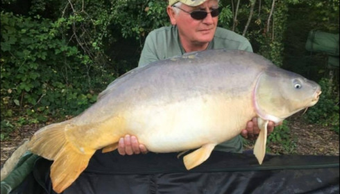 A carp from Jonchery, Aug 2019