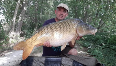 A carp from Jonchery, Aug 2019