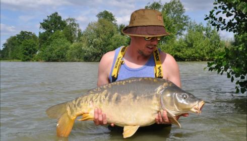 A carp from Jonchery, Jun 2018