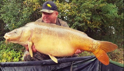 A carp from Jonchery, Sep 2019