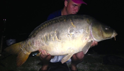 A carp from Jonchery, Jul 2014