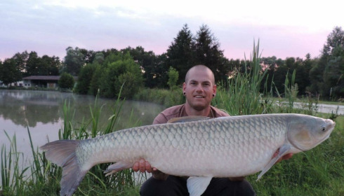 A carp from Jonchery, Jun 2017