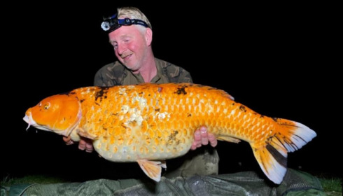 A carp from Jonchery, May 2019