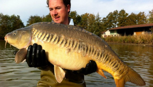 A carp from Jonchery, Nov 2012
