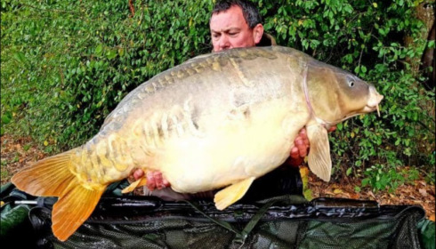 A carp from Jonchery, Oct 2018