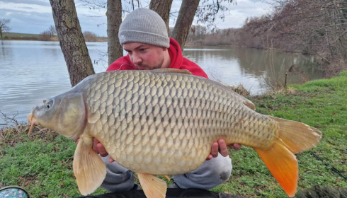 A carp from Jonchery, James Henfrey, Mar 2023