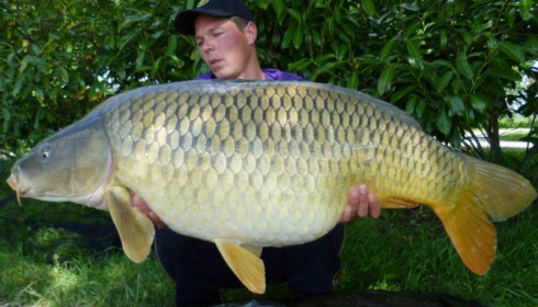 A carp from Jonchery, May 2014