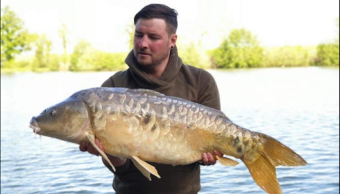 A carp from Jonchery, May 2019