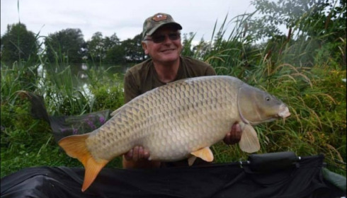 A carp from Jonchery, Aug 2019