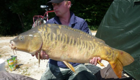 A carp from Jonchery, Jul 2013