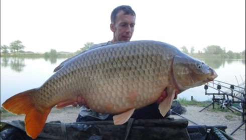 A carp from Jonchery, Aug 2019