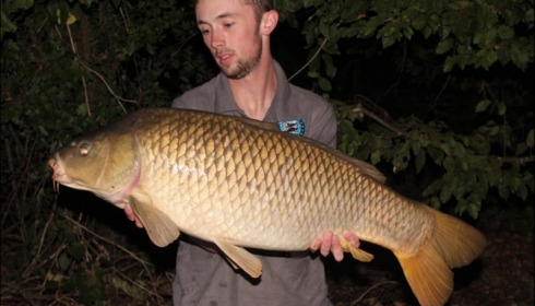 A carp from Jonchery, Jul 2019