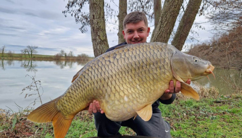 A carp from Jonchery, James Henfrey, Mar 2023