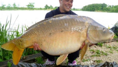 A carp from Jonchery, May 2014