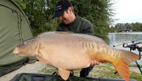 A carp from Jonchery, Oct 2014