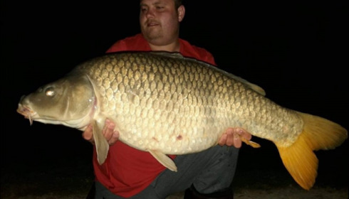 A carp from Jonchery, May 2019