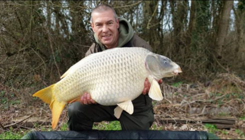 A carp from Jonchery, Mar 2019